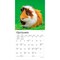 BrownTrout; Guinea Pigs | 2027 7 x 14 Inch (Hanging) Monthly Mini Wall Calendar; Category:Wall Calendars; Image:5